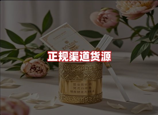 专业团队